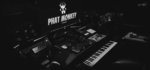 Fonik Original NI Maschine MK3 / + stand MDF