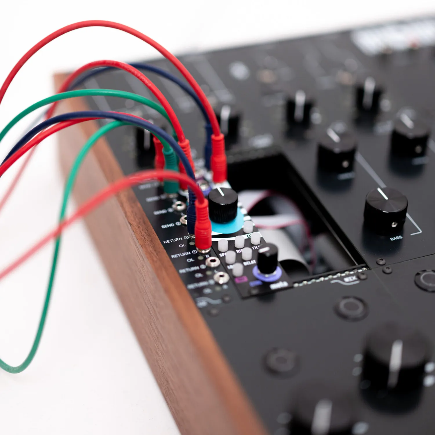 Menura Audio Eurorack Breakout module insert voie TS